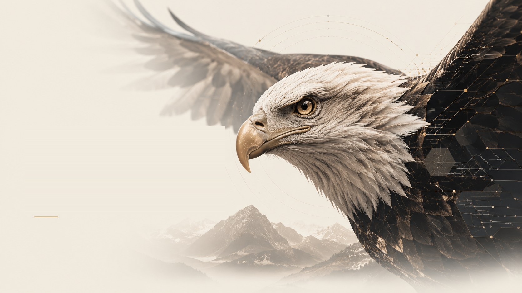 Bald eagle in flight — the ZIRA Technologies emblem, an AI studio in Quetta, Pakistan.